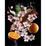 Moschino Toy2 Bubblegum Fruity Floral Fragrance