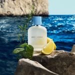 citrus aromatic woody notes of light blue pour homme