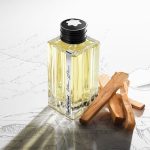 Aromatic Woody Notes of Montblanc Vetiver Glacier
