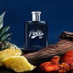 Aromatic Woody notes of Ralph Lauren Polo 67 Eau de Parfum