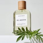 Aromatic Woody Notes of Roos & Roos Bel Absinthe