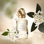 Citrus Floral Notes of Donna Karan Cashmere & Tunisian Neroli