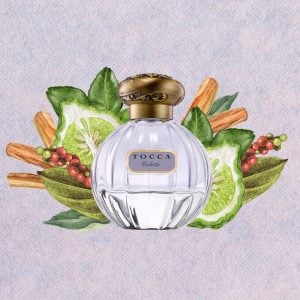 Citrus Floral Oriental Notes of Tocca Colette