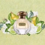 Fruity Floral Notes of Tocca Florence