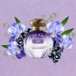 Floral Woody Notes of Tocca Maya