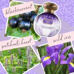 Tocca Maya fruity and floral