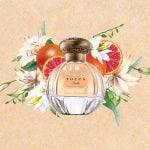 Citrus Floral Musky Notes of Tocca Stella