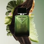 Oriental Woody Notes of Prada Paradigme EDP