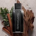Oriental Fougere Woody Notes of Ferragamo Sublime Leather