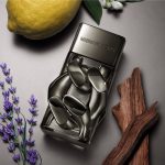 Citrus Aromatic Woody notes of Michael Kors Pour Homme Absolu