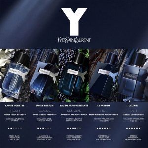 The 5 YSL Y Fragrances for Men