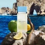 Key notes of Dolce&Gabbana Light Blue EDT for women