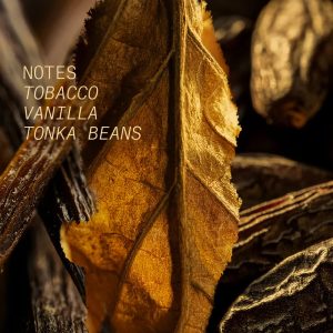Tobacco Volute Hair and Body Mist with tobacco, vanilla and tonka beans