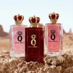 Dolce & Gabban Q Fragrance Collection for Women 2025
