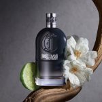Woody Aromatic Notes of Cavalli Wild Heart for Men