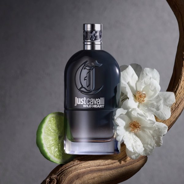 Woody Aromatic Notes of Cavalli Wild Heart for Men