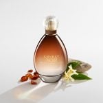 Jasmine, Amber and Sandalwood key notes in SJP Lovely Noir EDP
