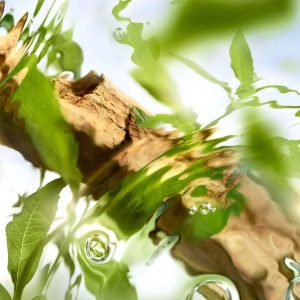 Verbena the heart of Lancome Off Now