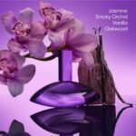 Floral Oriental Notes of Euphoria Solar Elixir Eau de Parfum