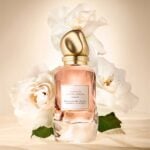 Donna Karan Cashmere & Rose Absolu is a radiant ambery rose fragrance inspired by the layers of a woman.