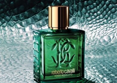 Cavalli Uomo Verde Assoluto EDP