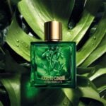 Roberto Cavalli Uomo Verde Assoluto Oriental Woody Fragrance