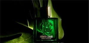Video for Uomo Verde Assoluto by Roberto Cavalli