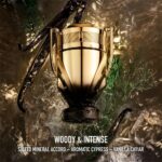 Invictus Elixir Parfum Elixir by Rabanne Aquatic Aromatic Woody Scent