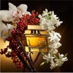Dolce & Gabbana The One Intense Eau de Parfum Fruity Floral Oriental Scent