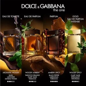Dolce & Gabbana The One for Men Fragrance Collection